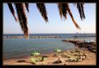Ab 180 EUR / WocheFerienhaus Ferienwohnung Italien Ligurien Meer Strand