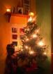 Weihnachts-Kredit-Weihnachtsgeld für alle- fair günstig