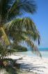 Mexico Backpacker Cancun ab 852 Euro
