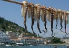 Griechenland Thassos ab 333 Euro