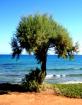 Kreta 4-Sterne-Hotel All Inclusive Flug ab 399 Euro