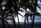 Kanaren La Palma Appartment Flug ab 294 Euro