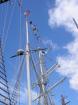 Schnupperkreuzfahrt Queen Victoria 3. - 5. 8. 2022 ab 490 Euro