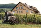 Sommer im Moseltal 4x Halbpension 120 -Euro pro Person