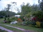 Camping taniaburg friesland