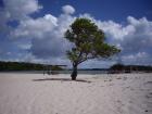 Urlaub in Nordostbrasilien - Vorortagentur hilft realisieren