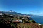 Casa El Teide in La Matanza im Norden von Teneriffa