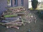 Feuerholz zu verschenken