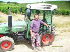Ich biete handarbeit ausführen im Weinberg
