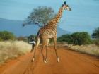 Kenia Rundreise nur für Frauen Lady Safaris