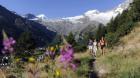 Wanderwoche in Saas-Fee 28. 6. -5. 7. 2022