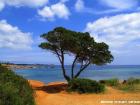 Ibiza DZ HP Flug ab 370 Euro