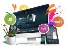 Website erstellen CMS WordPress